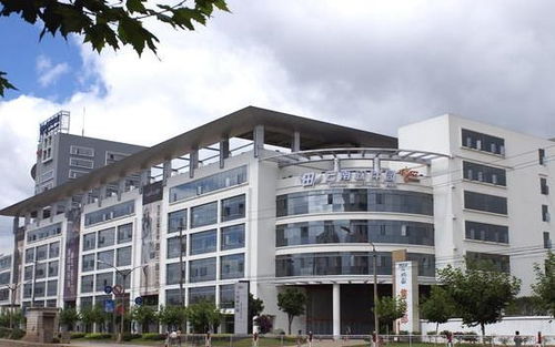 昆明彩之韻商務信息咨詢 專業(yè)服務助您商務騰飛